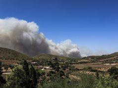 Εμπρησμοί φτιάχνουν “οικόπεδα” για νέες βίλες, μεγαλοδικηγόρος πέθανε στη φυλακή με δις ισόβια για “οικόπεδα”,άνοιξε κελί για την “φόλα” των Follie-Follie και μια νεα αθλιότητα στον ΣΚΑΙ…