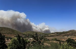 Εμπρησμοί φτιάχνουν “οικόπεδα” για νέες βίλες, μεγαλοδικηγόρος πέθανε στη φυλακή με δις ισόβια για “οικόπεδα”,άνοιξε κελί για την “φόλα” των Follie-Follie και μια νεα αθλιότητα στον ΣΚΑΙ…