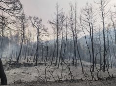 “Είναι η δράση της πολιτικής Μαφίας ηλίθιε” που καίει και ξεπλένει μαφιόζικα δισ.σε καμμένα δάση και στο “οπιο των φτωχών”! Ο υπουργός,η βίλα και η αγαπημένη του…