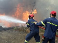 Αποκάλυψη:Έγγραφο -βόμβα δείχνει κρατικό εμπρησμό σε Μάνδρα-Βίλλια! Ο Δασάρχης των πλουσίων με τα δισ σε τράπεζες !..